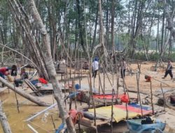 Tambang Ilegal Ke Jalan Legal Kebangkitan Kesadaran Lingkungan Masyarakat Babel